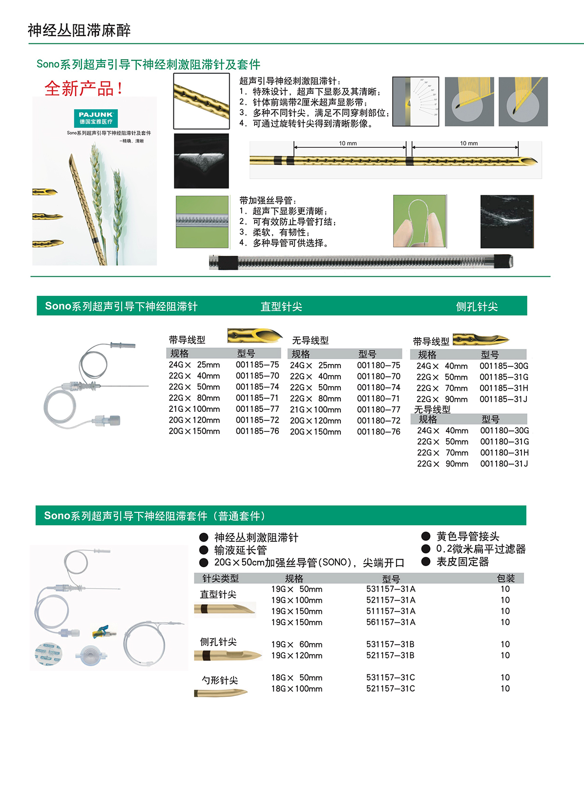 神經叢背面_02-04.jpg
